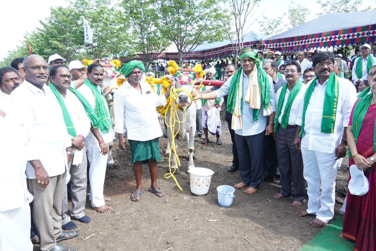 Tree Planting