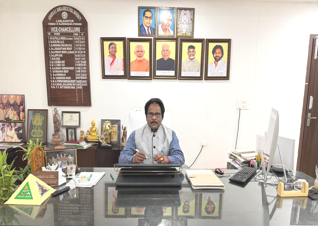 vice chancellor